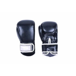 Sparring Gloves